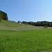 grünes Gelände bei Buchenegg