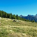 Alpe Poverzone