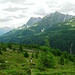 Pascoli dell'Alpe Pesciora