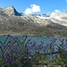 Kontraste am Lago Bianco