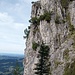 Felsen vorm Zinken