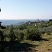 Blick von Perici zurück nach Grožnjan, das auf einem Kegelberg über dem Mirna-Tal thront