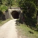 Im Laufe des Parenzana-Wegs werden mehrere kleine Tunnel durchquert