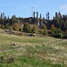 Eines der kommenden Ziele: der Hohfelsen. Zuerst folgt aber noch der Abstieg nach Bernau-Ankenbühl.