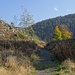 Bernau-Ankenbühl hab ich hinter mit. Vorne ist das Holzmättle, der östlichste Punkt des Steigs. Danach geht es vor den links im Foto sichtbaren Felsen durch wieder nach Nordwesten.