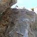 Die stark versinterte "Gecko-Wand" ("Tichos Samiamidiou") - tolle Kletterei an bizarren Strukturen