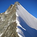 Der Nordostgrat und die Nordwand des Ober Gabelhorn 4063m. Ein Traum von einem Grat, schöner geht's fast nimmer.