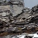 ultimi metri rocciosi per il Cistella, assicurati da catene