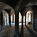 La cripta era forse un tempoi leggermente più grande. Le quattro colonne sembrano essere di risulta, provenienti da edifici romani della vicina Lomello. 