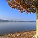 Lungo il Lago di Varese.