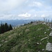 Blick über den Westgrad des Gross Aubrig, über welchen man zum Gipfelkreuz gelangt - im Hintergrund noch die Mythen erkennbar