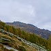 Wegpassage auf dem Weg zur Alpe Ribia unweit bevor man das Rifugio erreicht. Der Berg im Hintergrund ist der Salariel.