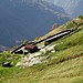 Alpe di Montoia