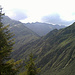 Mont Bellacha derrière le sapin et chaîne de la Lauzière