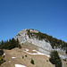 Hennenkopf mit anziehendem Gipfelkreuz