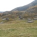 Alcune cascine dell'Alpe di Sceru