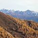 Blick über den goldgelben Lärchenwald in die Dolomiten