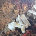 <b>Limonite (ferro idrossido) con gesso.</b>