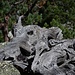 Mammutkopf aus Arvenholz