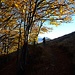 Quasi all'Alpe Prato, ecco risbucare il sole in tramonto, pronto ad illuminare i colori d'autunno.