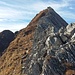 Gipfelgrat Zermaid; Gras-Fels, geologisch sehr interessant 