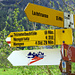 Uiuiui... da kommen Erinnerungen auf... Habe früher mehrmals den Jungfrau Marathon gemacht, hier mein Bericht: http://www.alpinbachi.ch/?p=603