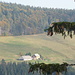 zoom sur l'auberge, Erlenbacherhütte .