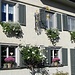 Gasthaus Rössle in Salenstein mit üppigem Blumenschmuck, darunter viele Rosen