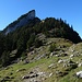 Hier verlässt man den Wanderweg und begibt sich auf den Jägersteig, der immer noch ein Geheimtipp ist im Alpstein.