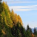 Herbstfarben im Aufstieg zum Gräppelenstein