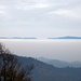 Über den Nebel ragen auch die Gipfel der Südvogesen