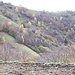 <b>Nella foto si intravede la stradina che si sviluppa sul versante ovest del Poncione di Cabbio.</b>