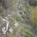 Come dimostra la foto il sentiero all'interno della Val Buseggia è ben segnalato.