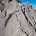 die bekannte Platte