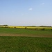 Typische Landschaft der Kleinen Ungarische Tiefebene (Kisalföld): Weites, unverbautes Land, mit unterschiedlichen Kulturen, Hecken und Gebüschen.