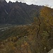 La radura dell’Alpe Zevi vista da Grausteini