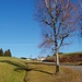 auf dem Hompessenalpweg bei Traumwetter im November !