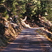 The first 2.5 km of the forest road is paved (from Langwies up to P.1671).