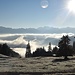 das Rheintal liegt noch unter der Wolkendecke