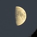Kalt und klar steht der Mond am Himmel / fredda e chiara la luna al cielo