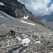 viel "Betrieb" auf dem Gletscher