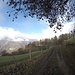 <b>Dall'Alpe della Bolla posso scendere fino alla strada della Valle di Muggio in circa 20 minuti.</b>
