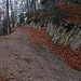 Beim 1001m hohen Pass der Wechtenegg folgte ich dem unmarkirten Weg aufwärts zur gleichnamigen Alpweide (P.1048,6m).