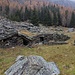 Alpe Carbonera