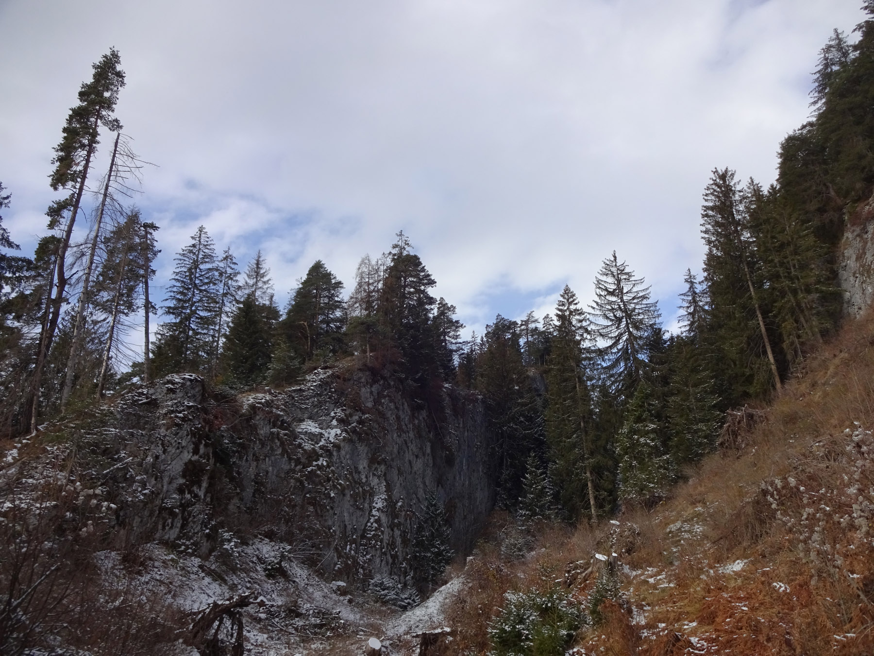 Im Wald über der Felswand findet man den Gipfel des Crap... [hikr.org]