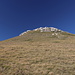 Im Aufstieg zum Monte Costa Ceraso - In der Grasflanke wechseln sich steile und weniger steile Abschnitte ab. Im Gipfelbereich gibt’s sogar etwas Fels.
