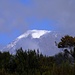 und da ist er erster blick auf den Kilimanjaro, noch etwas vom Nebel verdeckt.