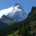 Schon pendelnd in der Gondel nach Furi hat man eine umwerfende Aussicht auf das über dichtem Lärchenwald steil aufragende Matterhorn (Foto vom 14.9.2014)