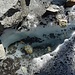 Auf dem Morteratsch-Gletscher: kleine Schmelzpfütze, die nur an der Oberfläche gefroren ist.