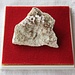 <b>Piemontite e clinozoisite, 4,5 cm, Linescio, collezione personale.</b>